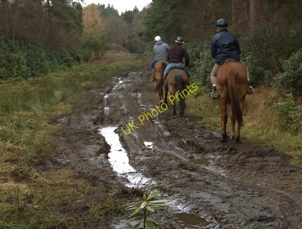 Photo 6"x4" Moor Road, Houghton Moor North Cliffe c2009