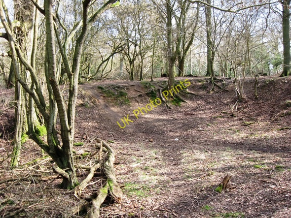 Photo 6"x4" Old Chalk Pit on Moneybury Hill Aldbury c2009