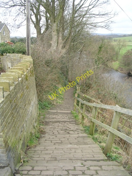 Photo 6"x4" Dalesway - by the side of the River Wharfe - Bark Lane Addingham c2009