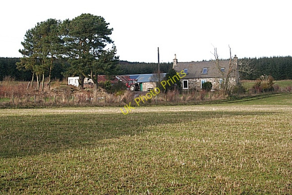 Photo 6"x4" Cottage on Balnamoon Hill Grange Crossroads c2009