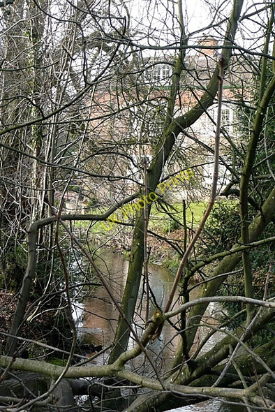 Photo 6"x4" River Enborne Newtown\/SU4763 c2009