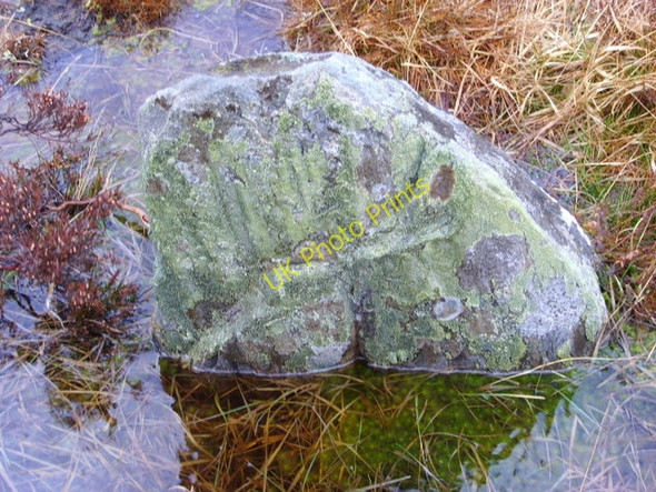 Photo 6"x4" Part of stone circle, at  Learable Learable c2009