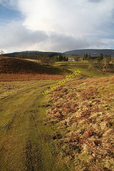 Photo 6"x4" Path to Auchnacree Auchnacree c2009