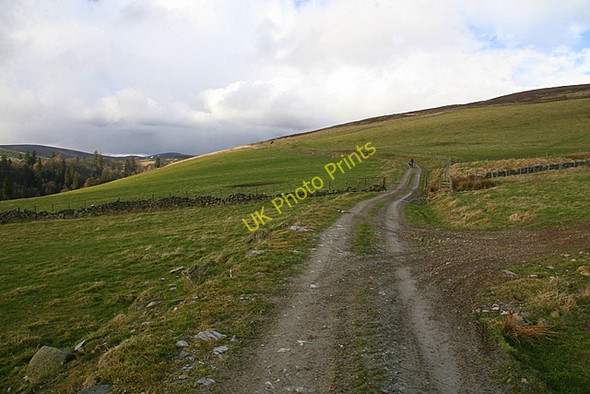 Photo 6"x4" Track up Glen Ogil Auchnacree c2009