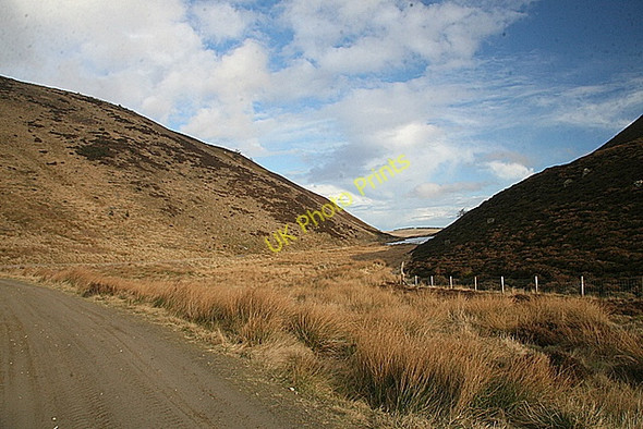 Photo 6"x4" Craig Corrie Auchnacree c2009