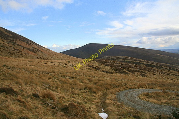 Photo 6"x4" Moorland, Pinderachy Auchnacree c2009