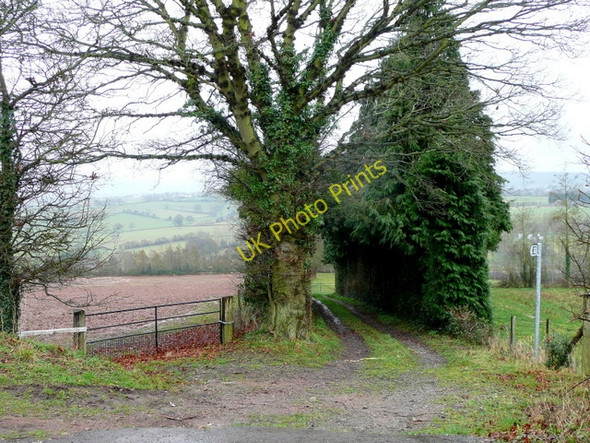 Photo 6"x4" Track and footpath to Studley Shutton c2009