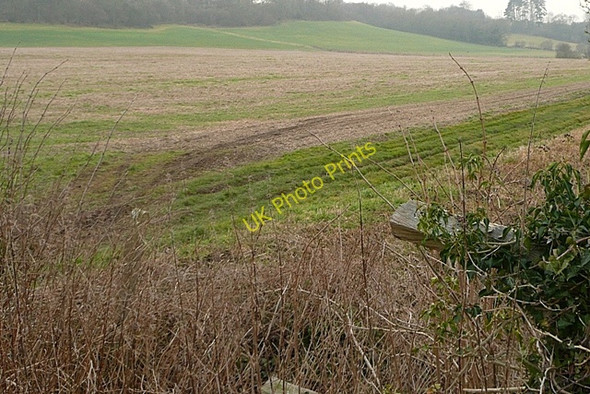 Photo 6"x4" South of Crookham Manor Thatcham c2009