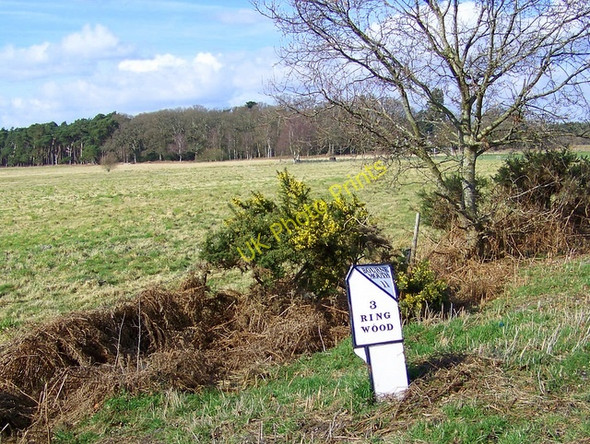 Photo 6"x4" Milepost, Bisterne Bisterne c2009