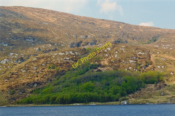 Photo 6"x4" Glenveagh National Park - NW shore of Lough Beagh Church Hill\/C0615 c2008