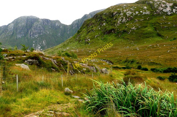 Photo 6"x4" Path to bridge over a stream to access Poison Glen Money Beg c2005