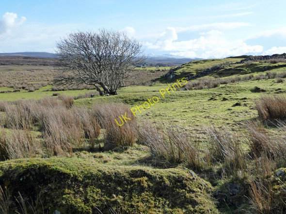 Photo 6"x4" Grazing land at Roag Ardroag c2009