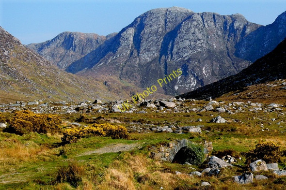 Photo 6"x4" Poison Glen - Seen from arched bridge over stream Money Beg c2008