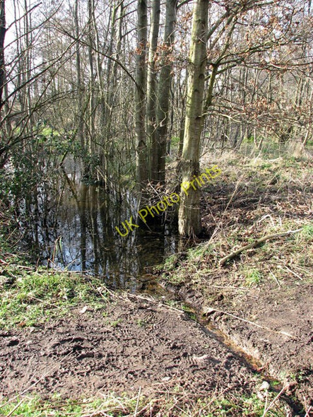 Photo 6"x4" Outflow across footpath Horsham St Faith c2009
