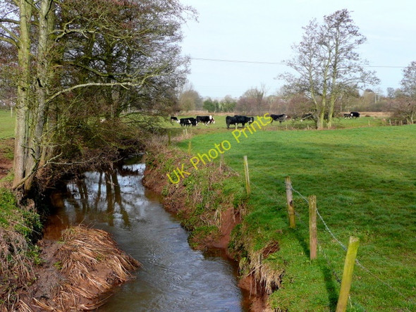 Photo 6"x4" Ell Brook - upstream Malswick c2009