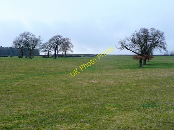 Photo 6"x4" Pastoral hillside Kexbrough c2009