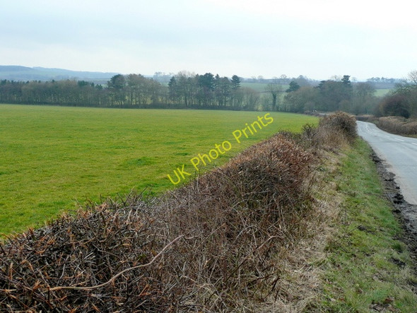 Photo 6"x4" Pasture land east of Cawthorne Lane Kexbrough c2009