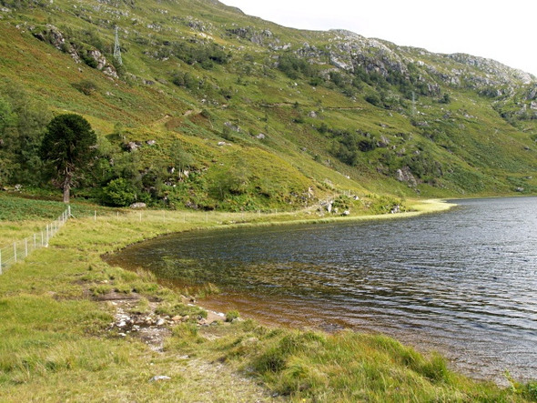 Photo 6"x4" NE shore of Loch Coire Shubh Kinloch Hourn c2008