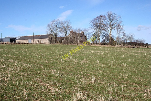 Photo 6"x4" Mains of Paithnick Davoch of Grange c2009