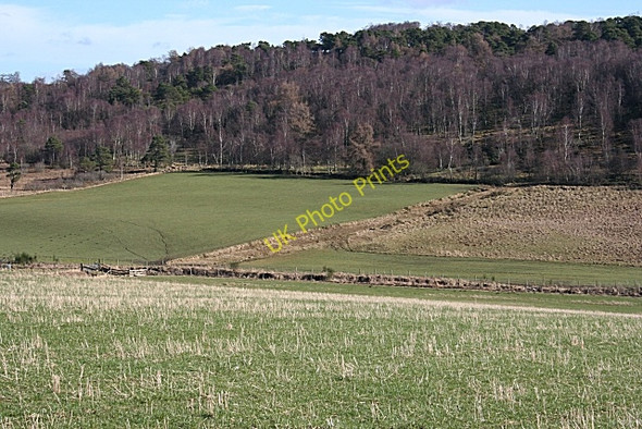 Photo 6"x4" Gallow Hill Davoch of Grange c2009