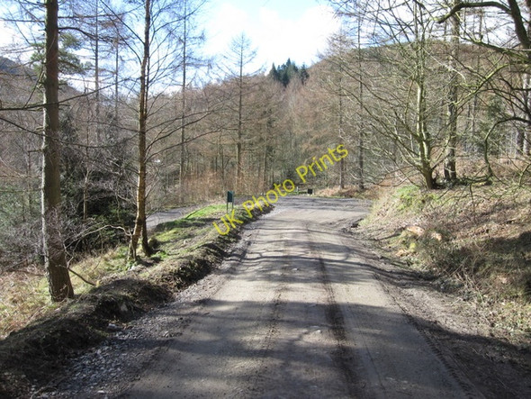 Photo 6"x4" Forestry track in Coed Moel Famau Tafarn-y-Gelyn c2009
