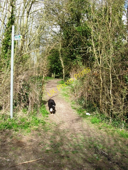 Photo 6"x4" Footpath off Marshcroft Lane Tring c2009