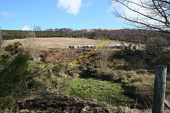 Photo 6"x4" Above Coleburn Fogwatt c2009