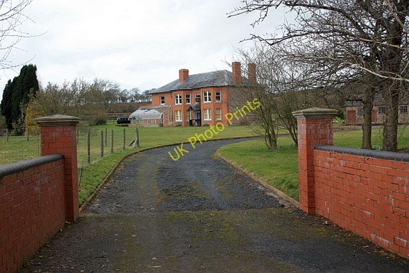 Photo 6"x4" Linnet Farm, Ullingswick Ullingswick c2009