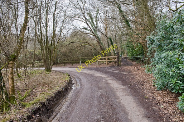 Photo 6"x4" Driveway to Chilworth Kennels and Cattery Chilworth Old Village c2009