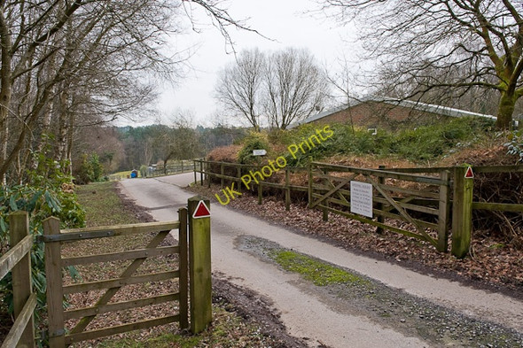 Photo 6"x4" Entrance to Chilworth Kennels and Cattery Chilworth Old Village c2009