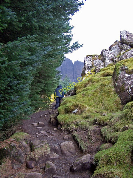 Photo 6"x4" Path to The Storr Old Man of Storr c2009 P1