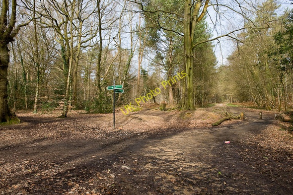 Photo 6"x4" Bridleway junction in Lord's Wood Aldermoor c2009