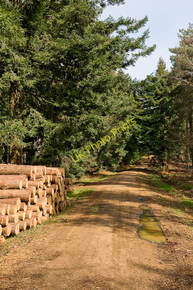 Photo 6"x4" Chilworth Drove Chilworth Old Village c2009