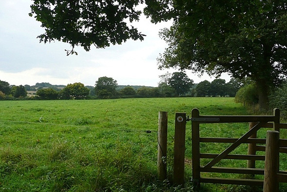Photo 6"x4" Footpath from Standford Dingley Jennetts Hill c2008