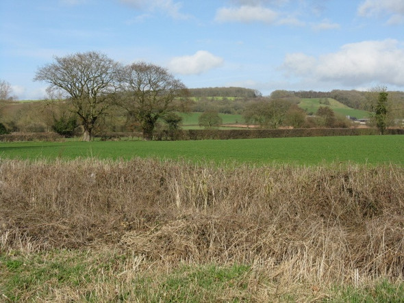 Photo 6"x4" Upper Maund Common In Spring Whitechurch Maund c2009
