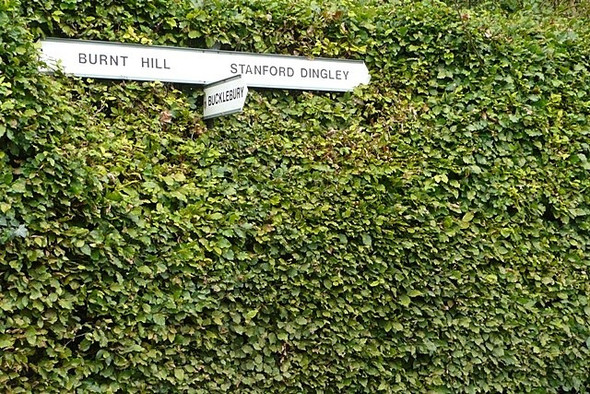 Photo 6"x4" Signpost in the hedge Jennetts Hill c2008