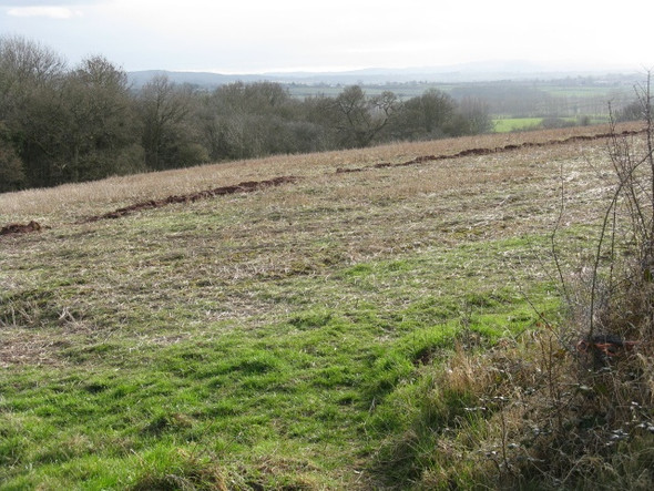 Photo 6"x4" Hillside Near Bleak Acre Bleak Acre c2009