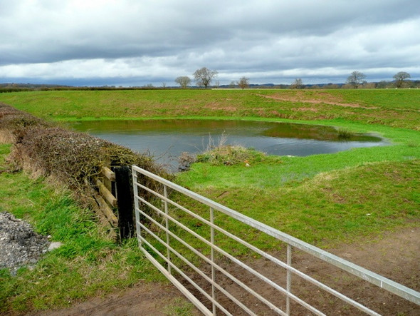 Photo 6"x4" Pool by the Upleadon to Corse road Upleadon Court\/SO7626 c2009