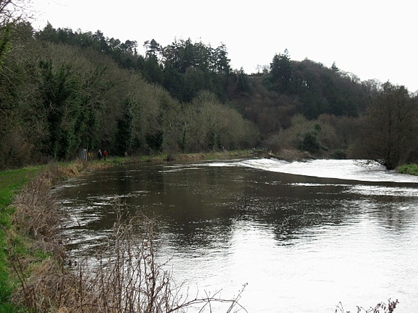 Photo 6"x4" Weir and Towpath Graiguenamanagh c2009
