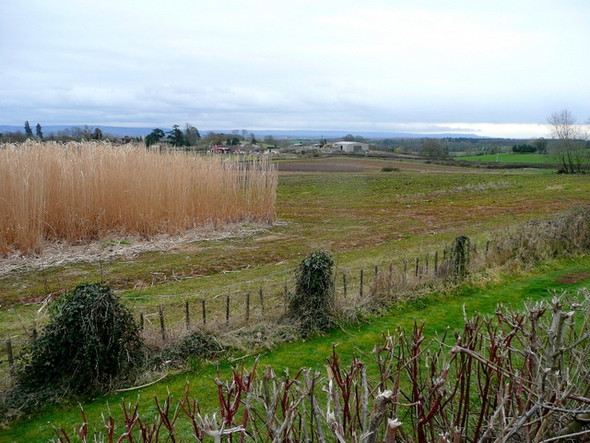 Photo 6"x4" View east from Country Garden Centre Huntley\/SO7219 c2009