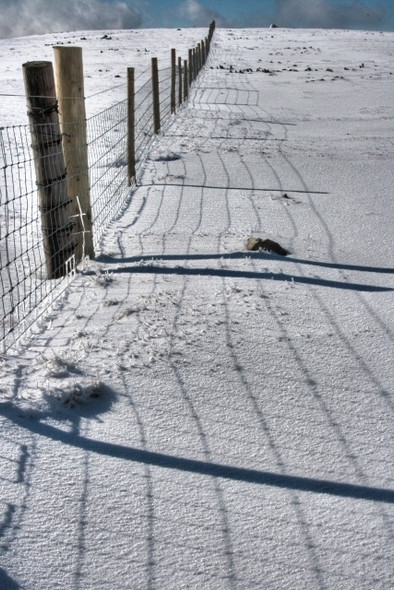 Photo 6"x4" Fence on Harter Fell Harter Fell\/NY4609 c2009