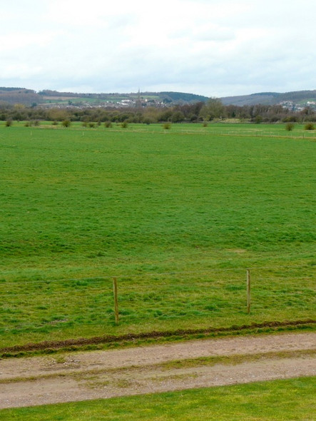 Photo 6"x4" New Grounds\/Lydney Marsh Tutnalls c2009