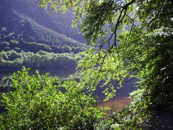 Photo 6"x4" Loch Oich Invergarry c2008