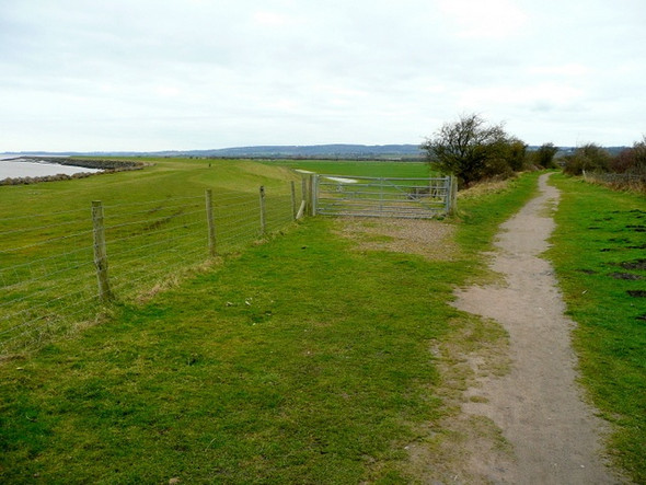 Photo 6"x4" Diverging paths Tutnalls c2009