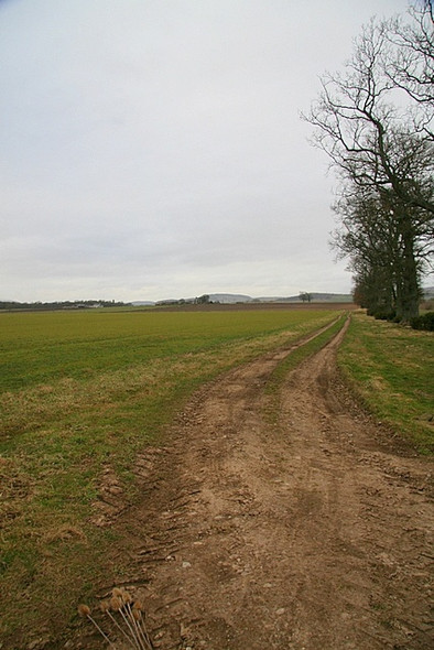 Photo 6"x4" Track to Miltonbank farm Oathlaw c2009
