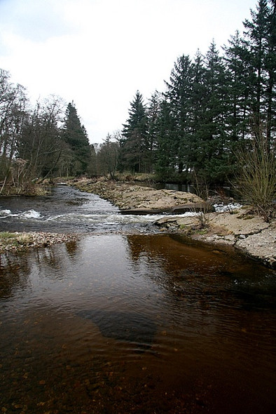 Photo 6"x4" Weir, South Esk Oathlaw c2009