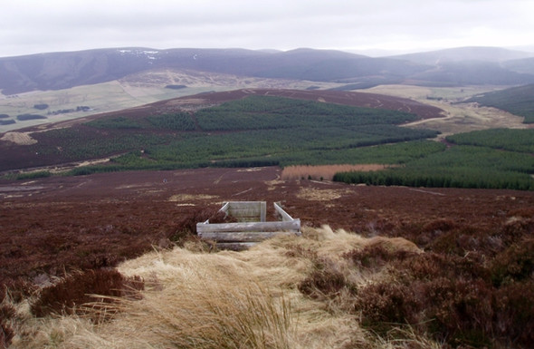 Photo 6"x4" Grouse Butt on Ben Rinnes Clash Wan c2009