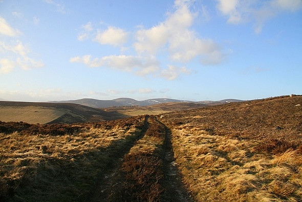 Photo 6"x4" Track to Buckies Glenogil c2009