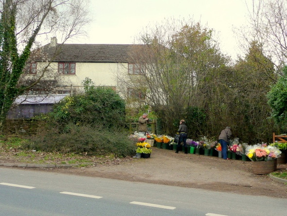 Photo 6"x4" Roadside florist, Ryeford Lea\/SO6521 c2009