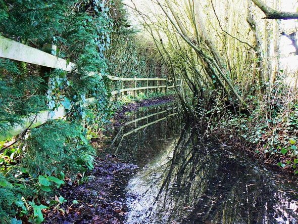 Photo 6"x4" Public footpath, The Butts, Lydiard Millicent Lydiard Green c2009
